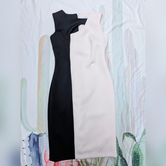 Calvin Klein White & Black Split Cut Out Sleeveless Sheath Dress - Picture 4 of 6